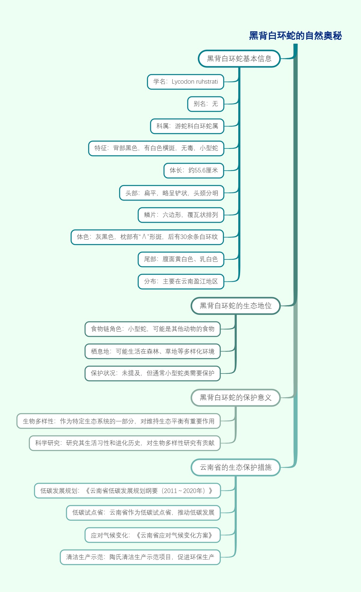 黑背白环蛇的自然奥秘