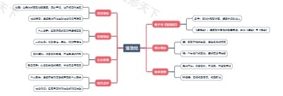 道德经智慧导图