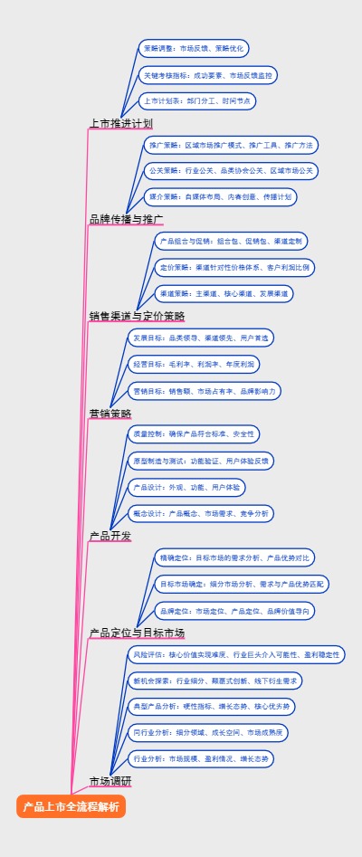 产品上市全流程解析