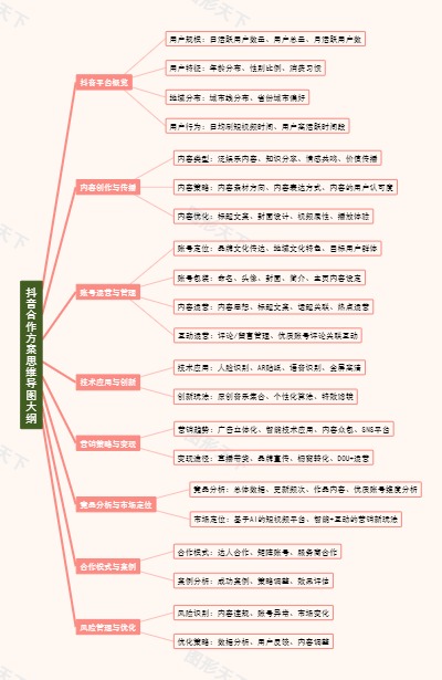抖音合作方案思维导图大纲
