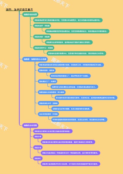 细胞：生命的基本单元
