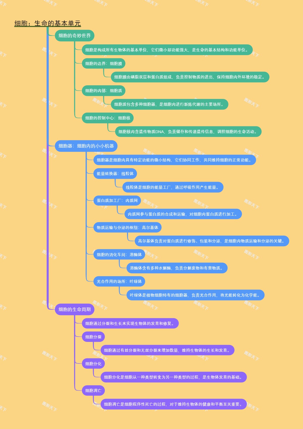 细胞：生命的基本单元