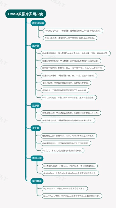 Oracle数据库实用指南