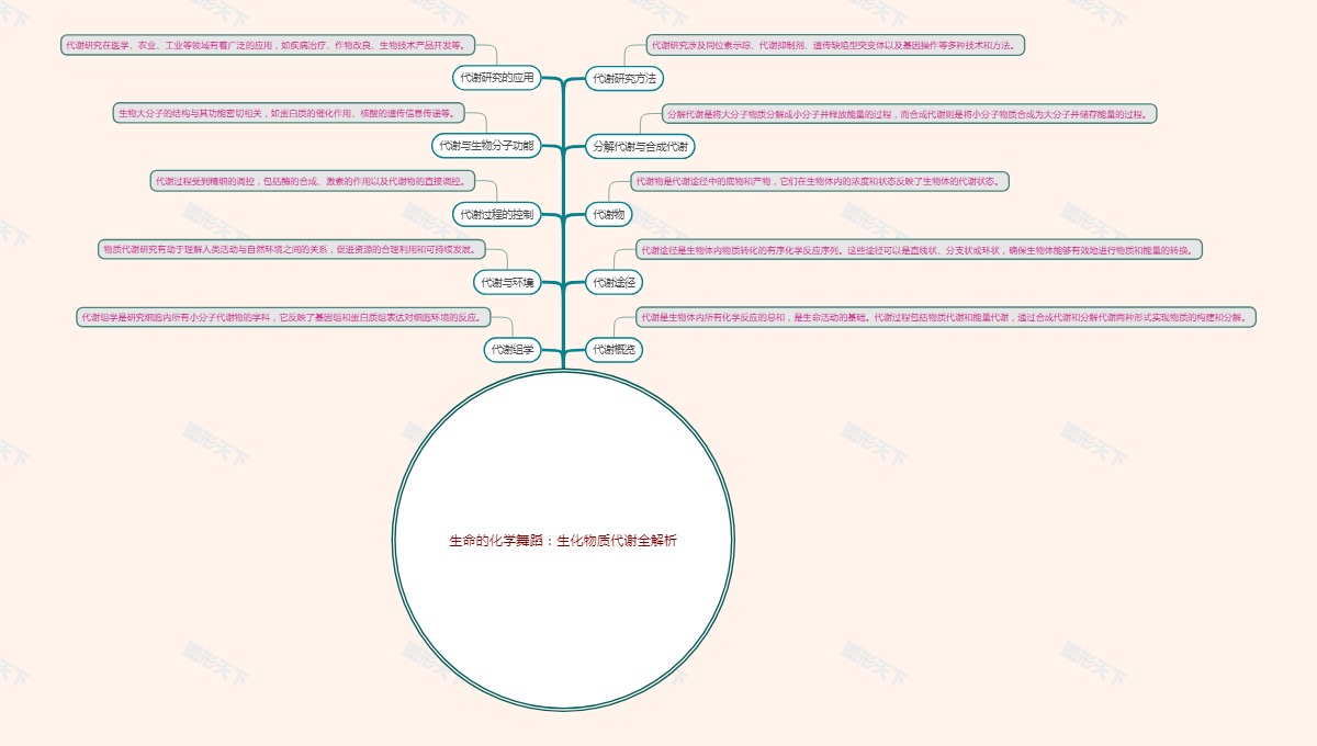 生命的化学舞蹈：生化物质代谢全解析