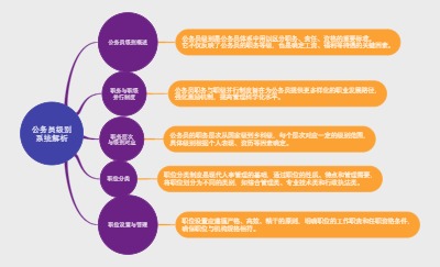 公务员级别系统解析
