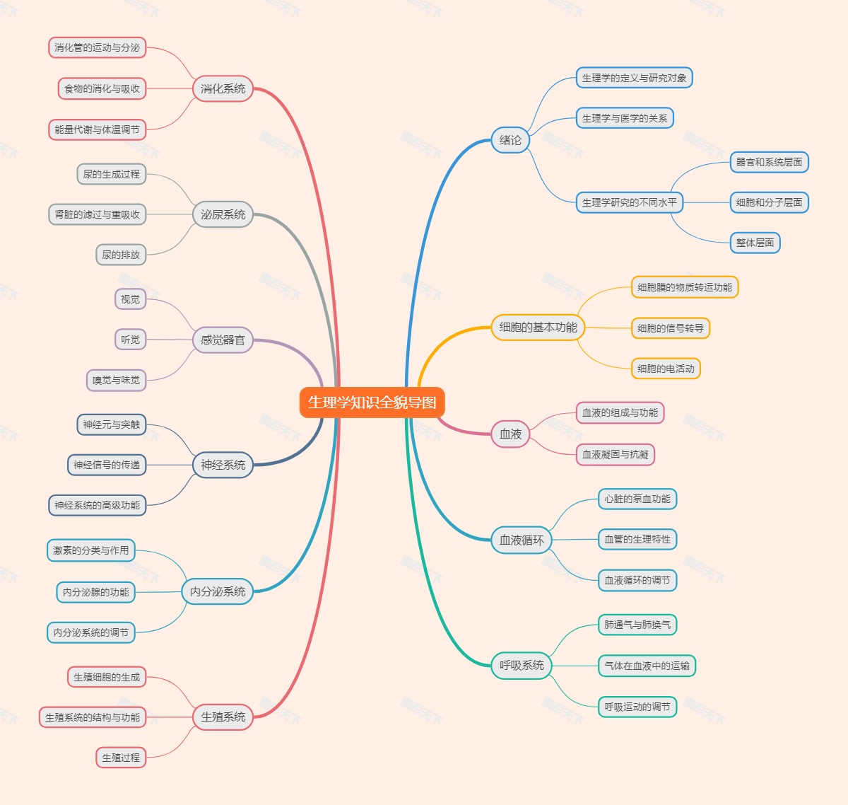 生理学知识全貌导图
