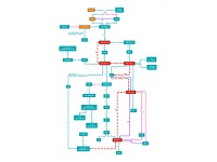 华夏先祖世系传承图：从燧人氏到大禹的血脉传承
