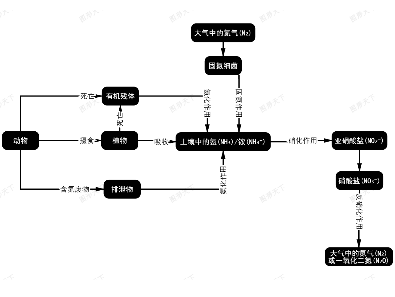 氮循环的生态流动关系图
