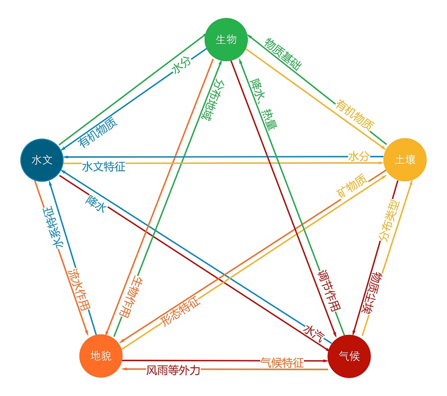 生态系统各要素关联示意图