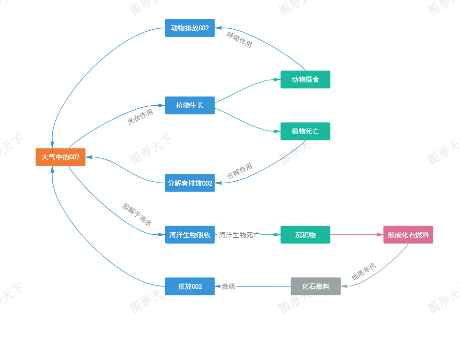 自然界碳循环交互作用关系图