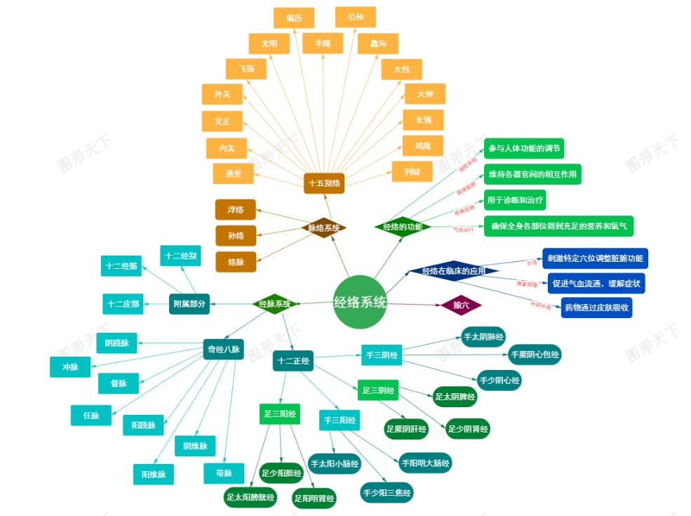 中医经络系统结构与功能关系图