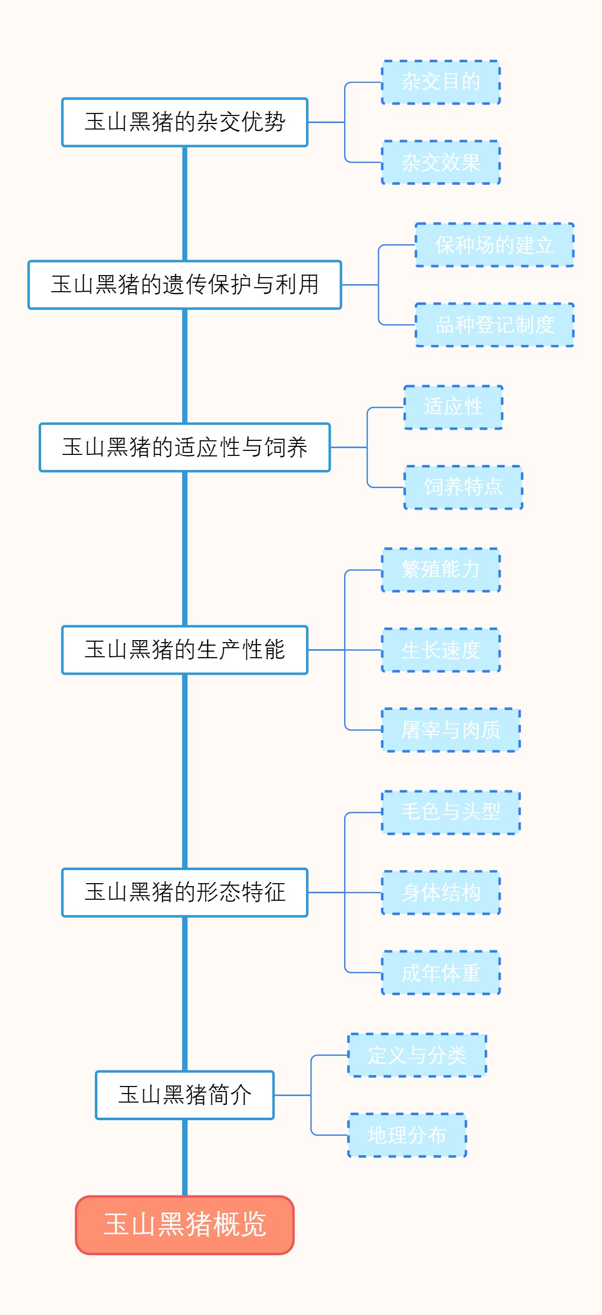 玉山黑猪概览