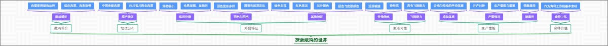 探索藏鸡的世界