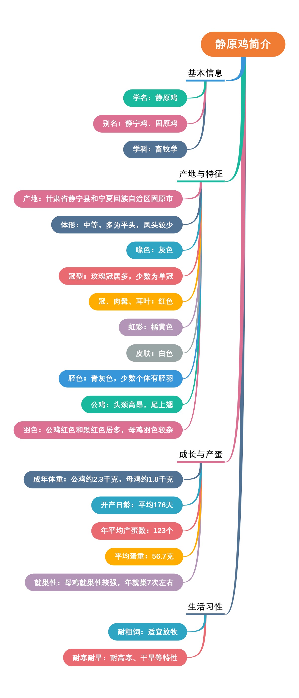 静原鸡简介