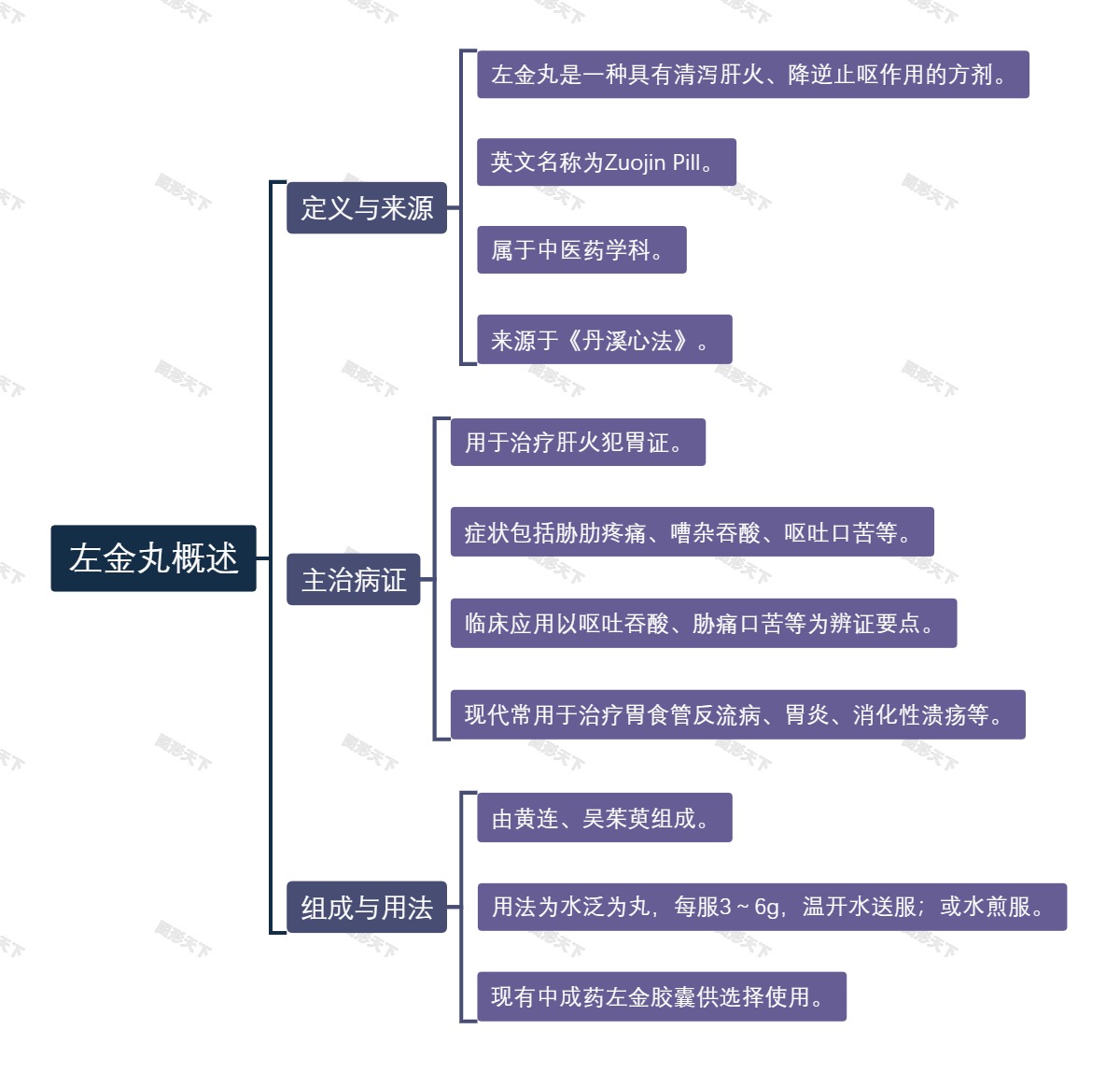 左金丸概述