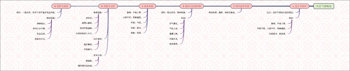 实证气厥概述