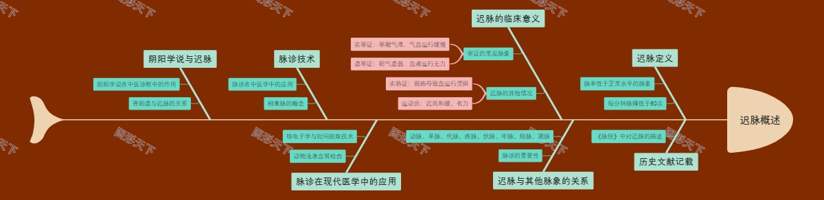 迟脉概述