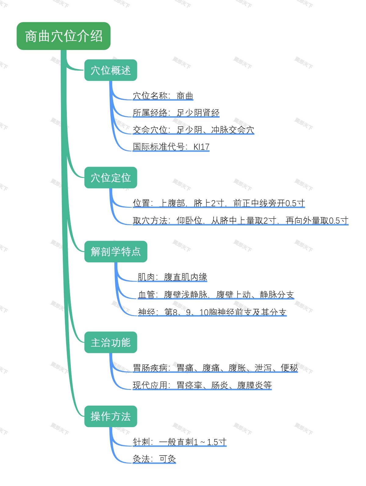 商曲穴位介绍