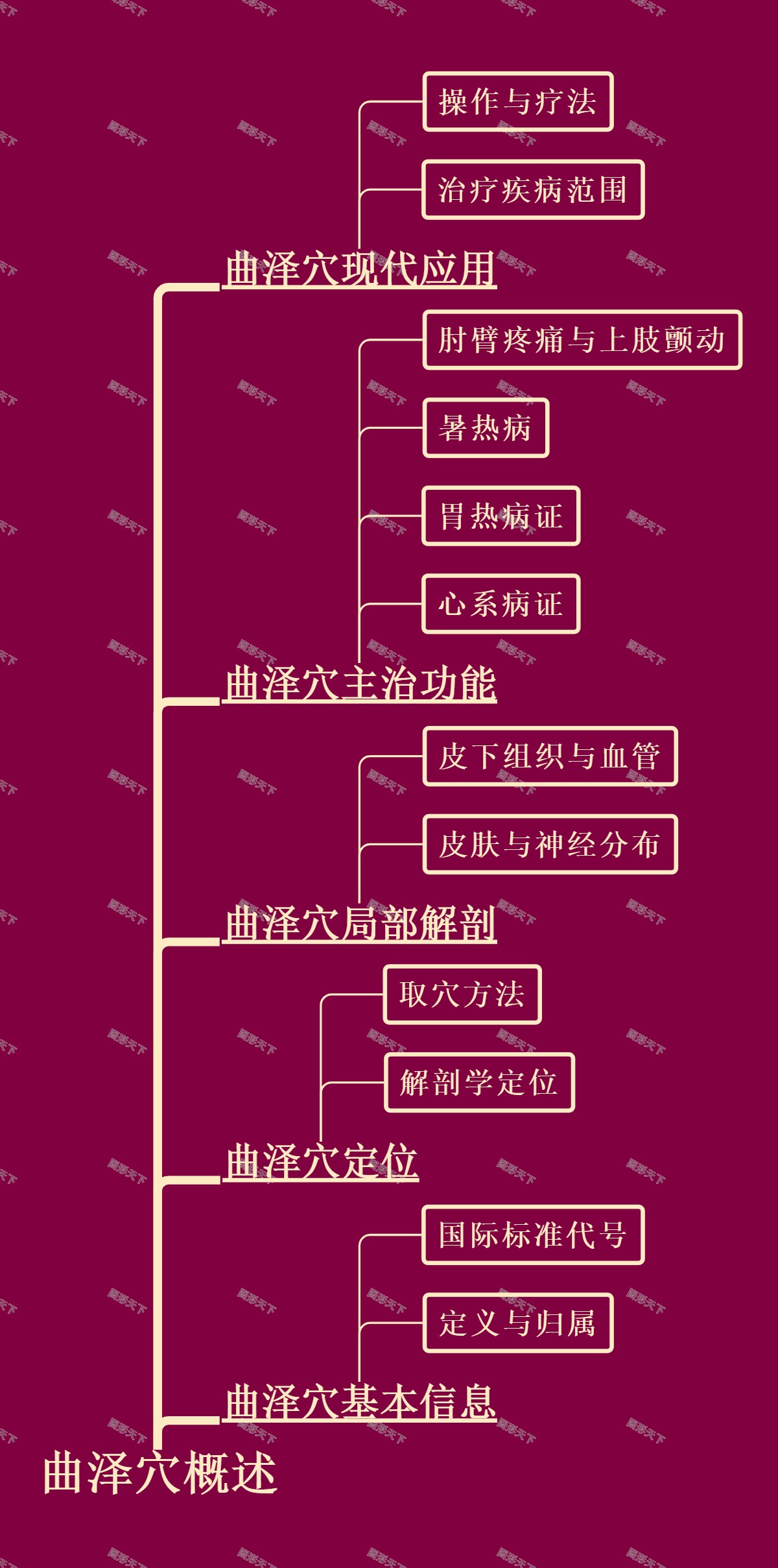 曲泽穴概述