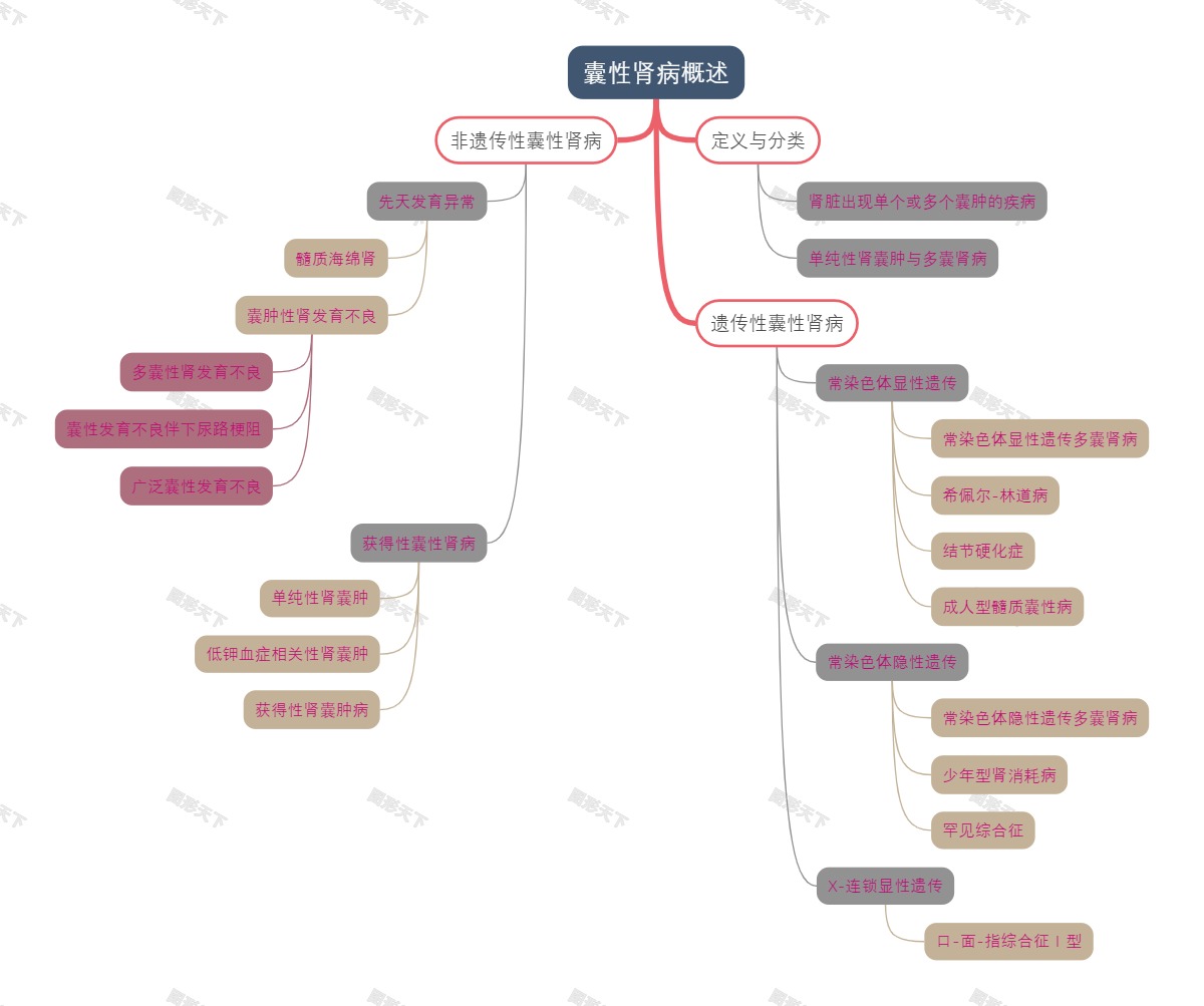 囊性肾病概述