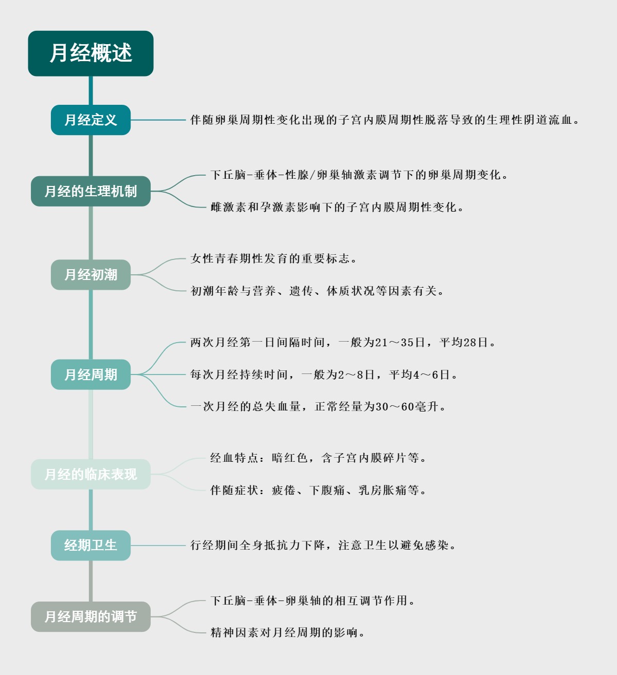 月经概述
