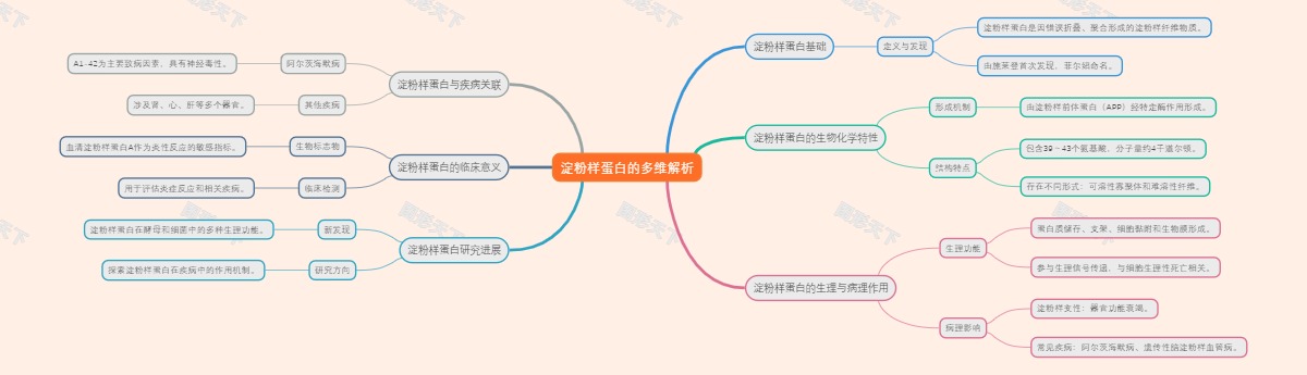 淀粉样蛋白的多维解析