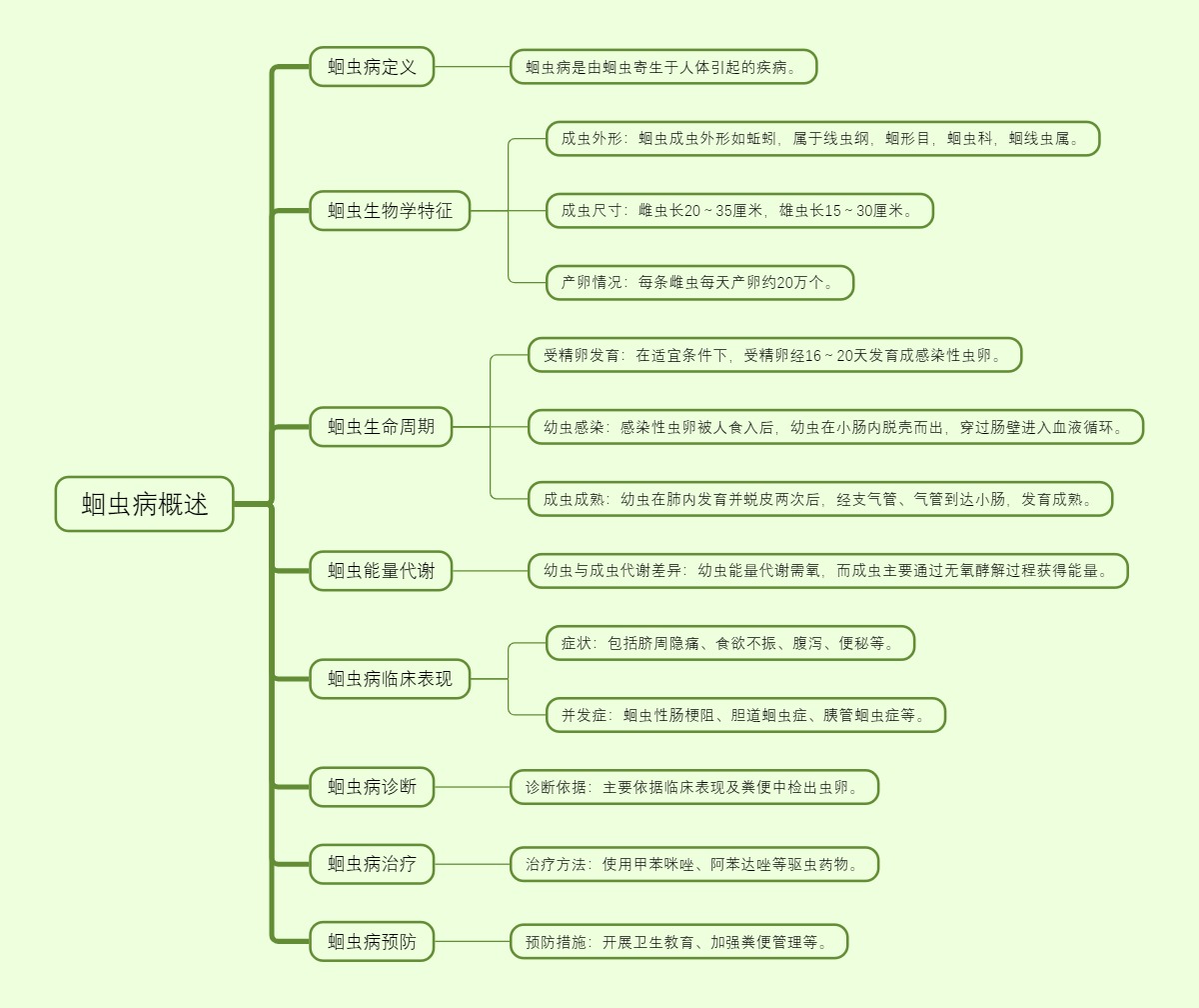 蛔虫病概述