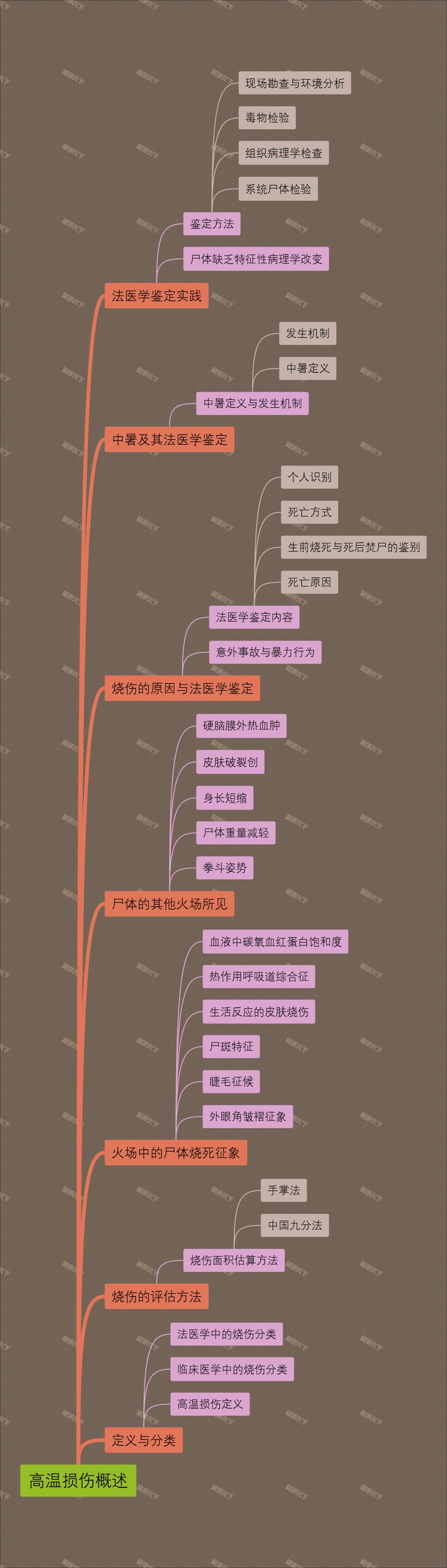 高温损伤概述