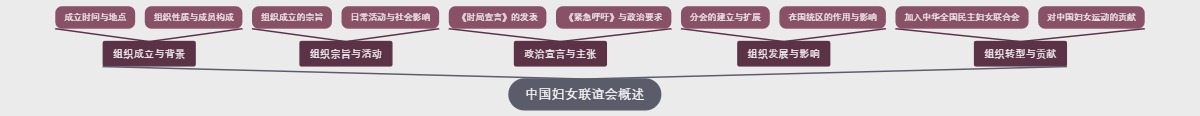 中国妇女联谊会概述