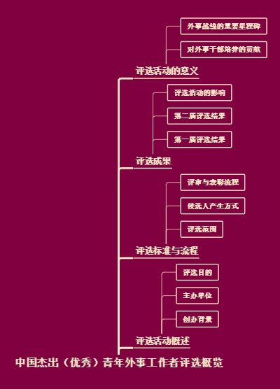 中国杰出（优秀）青年外事工作者评选概览