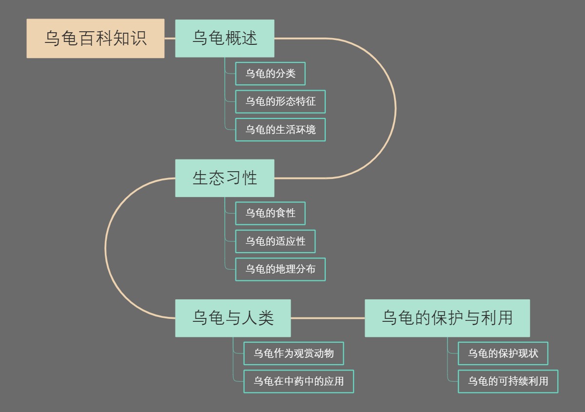 乌龟百科知识