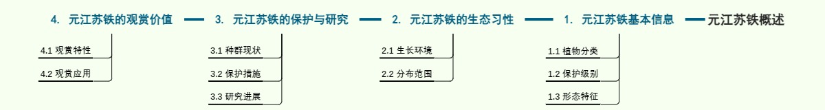 元江苏铁概述
