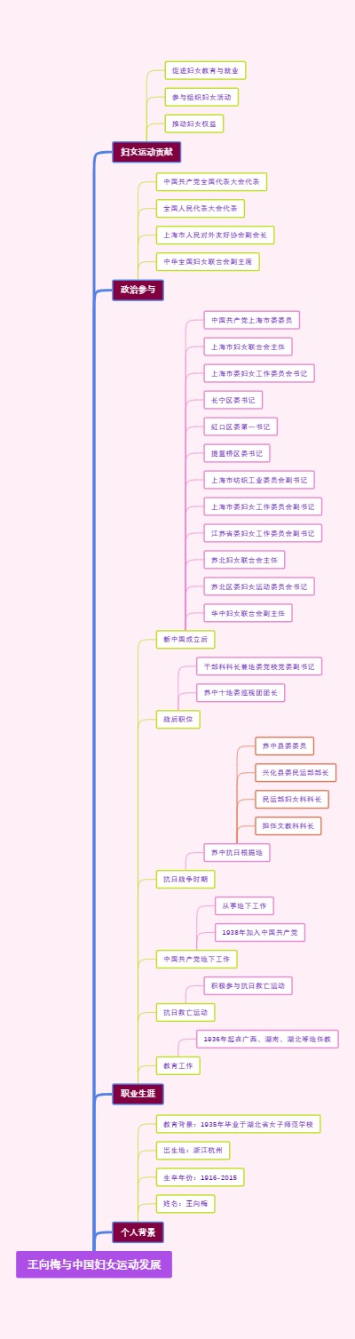 王向梅与中国妇女运动发展