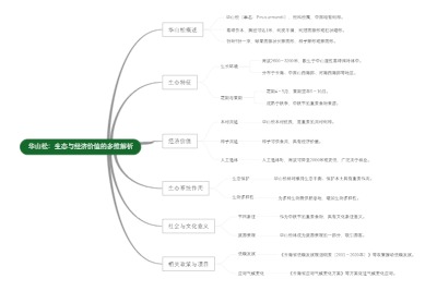 华山松：生态与经济价值的多维解析