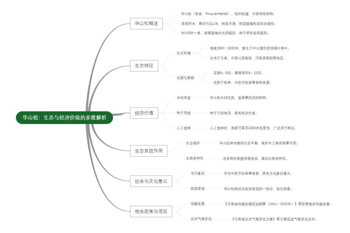 华山松：生态与经济价值的多维解析