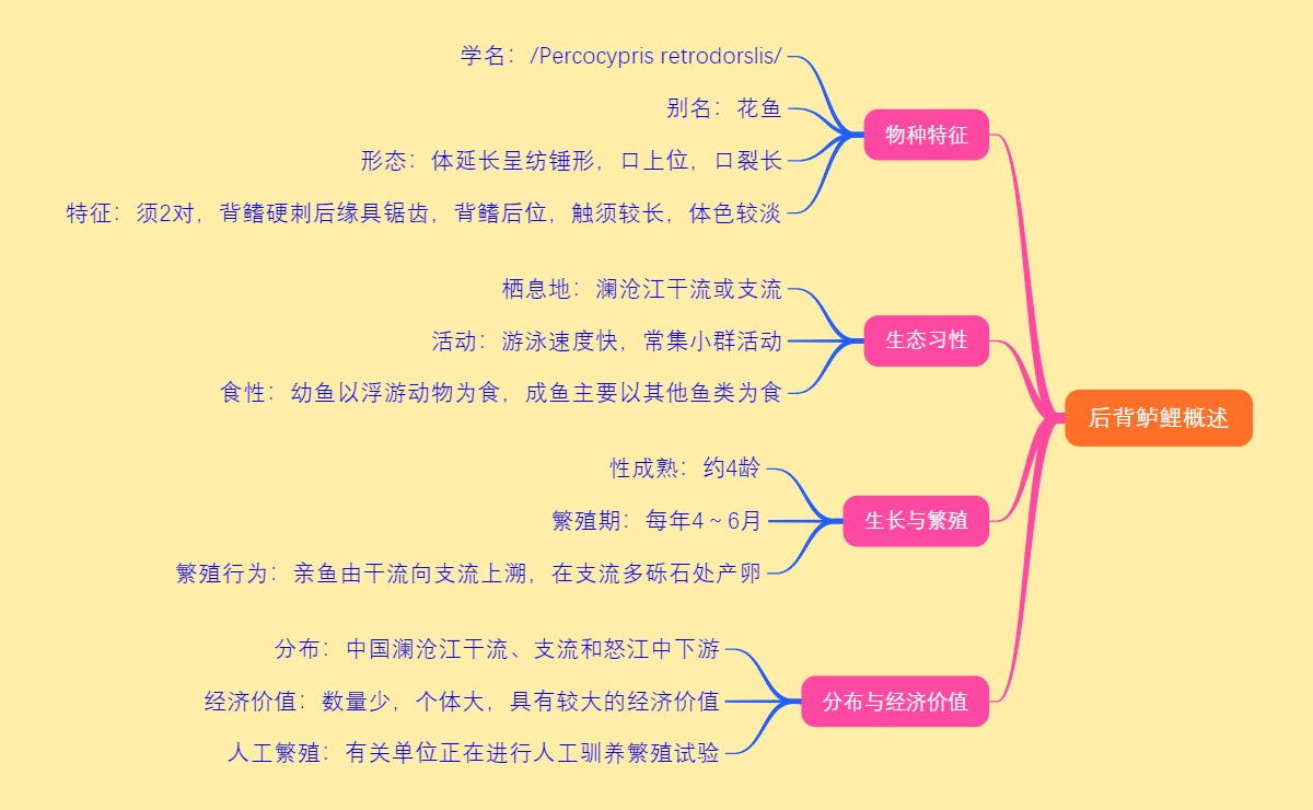 后背鲈鲤概述
