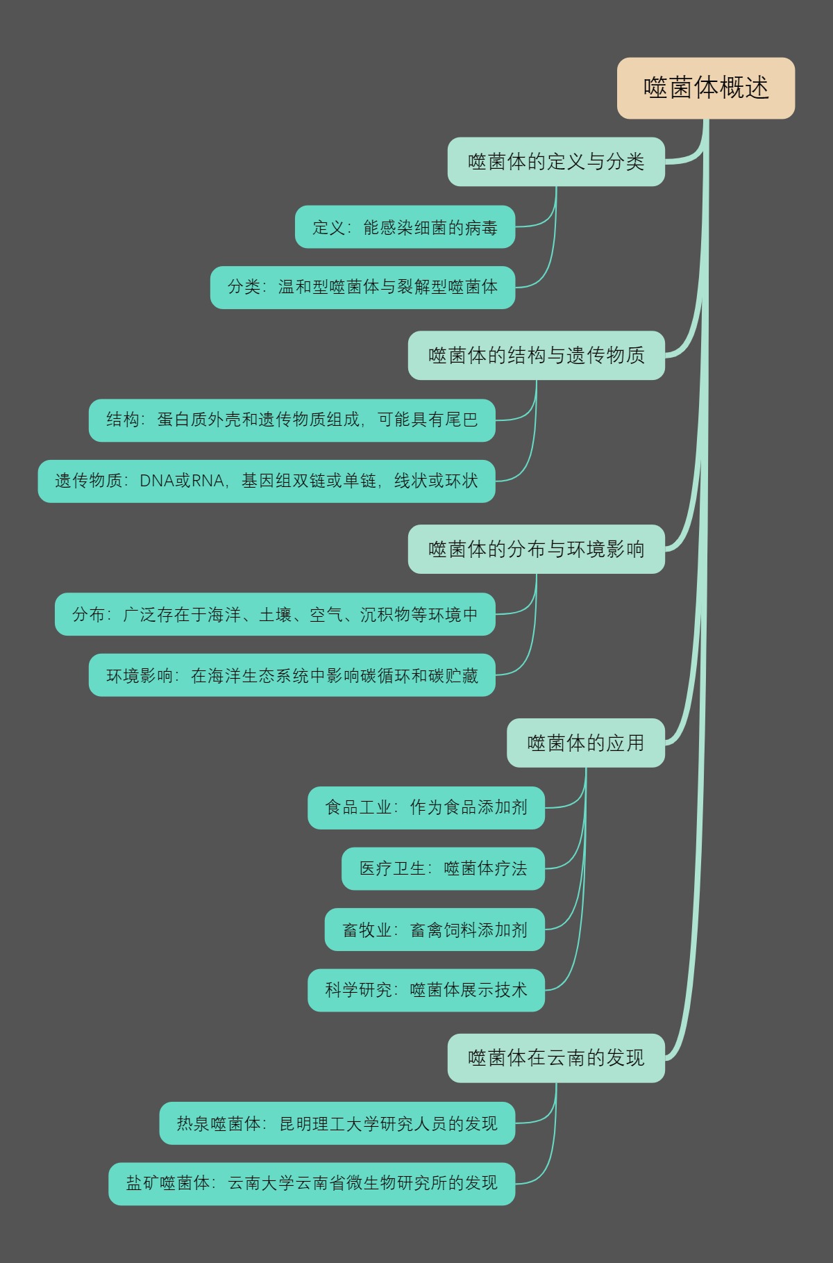 噬菌体概述