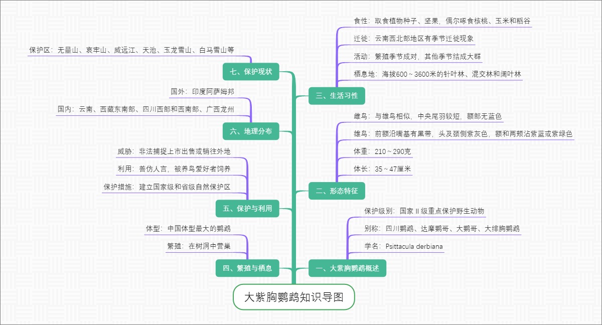 大紫胸鹦鹉知识导图