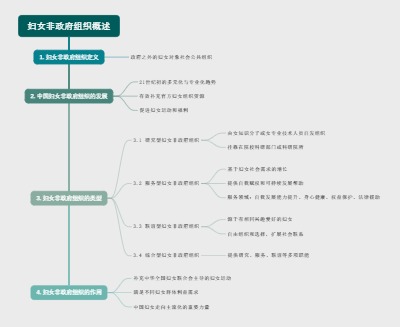 妇女非政府组织概述
