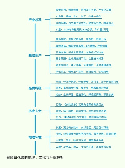 安陆白花菜的地理、文化与产业解析