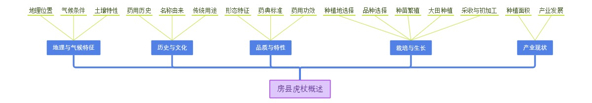 房县虎杖概述