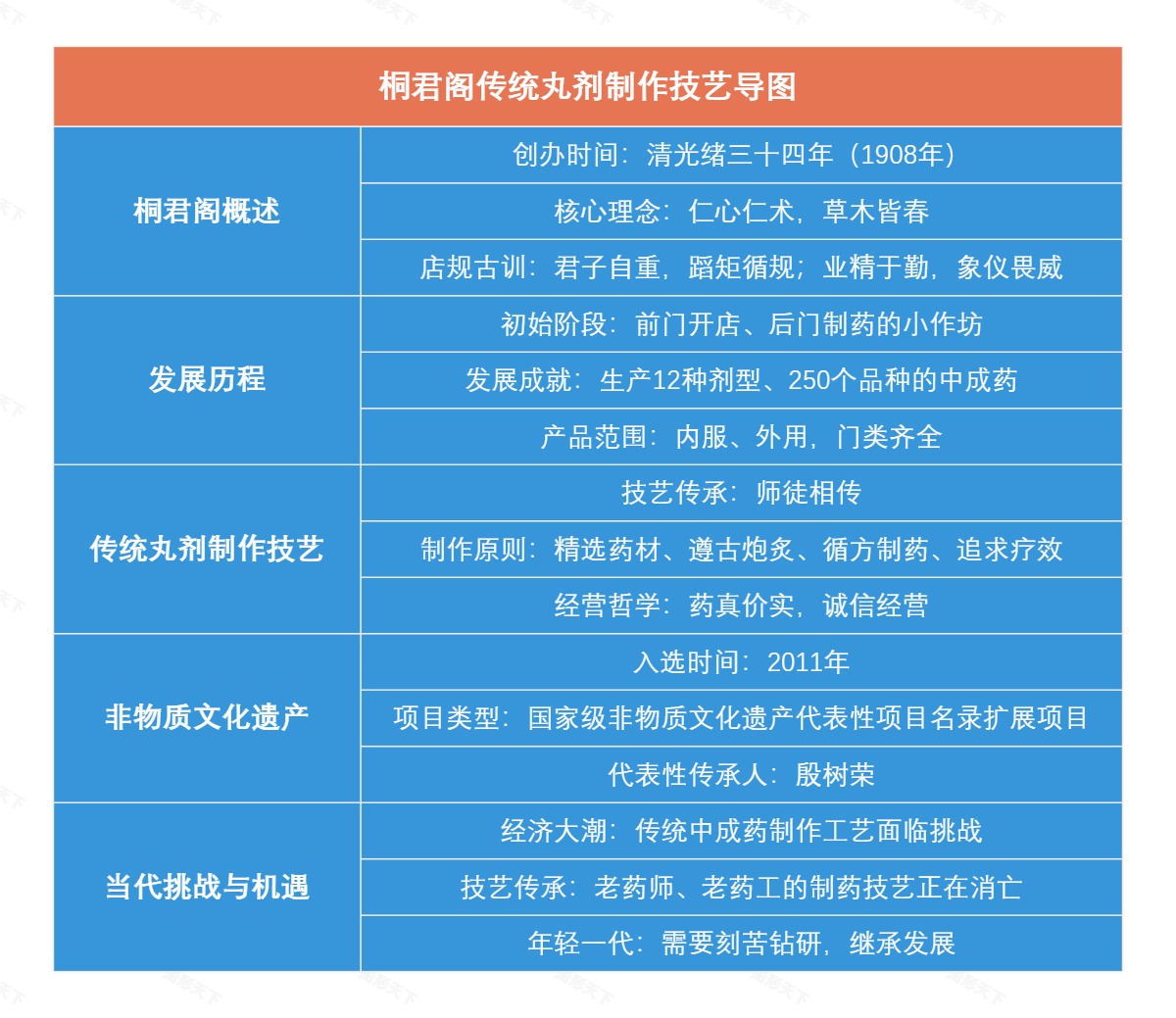 桐君阁传统丸剂制作技艺导图