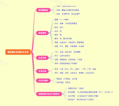 燕凤蝶生态特征与分布