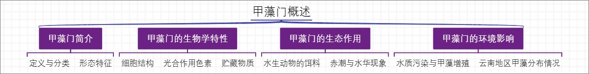 甲藻门概述