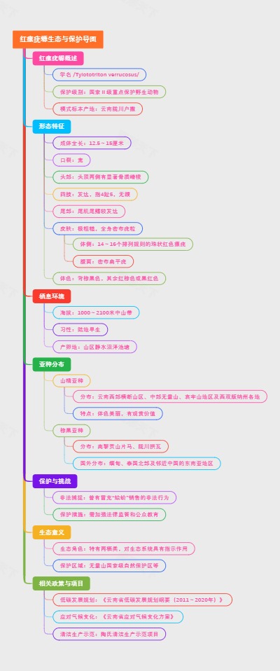 红瘰疣螈生态与保护导图