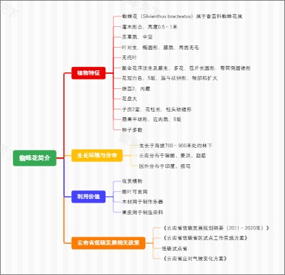 蜘蛛花简介