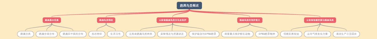 鹞属鸟类概述
