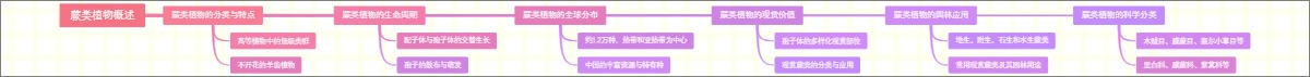 蕨类植物概述