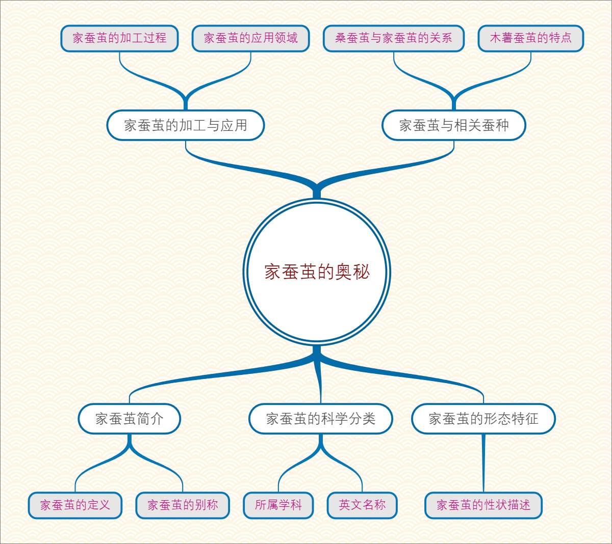 家蚕茧的奥秘