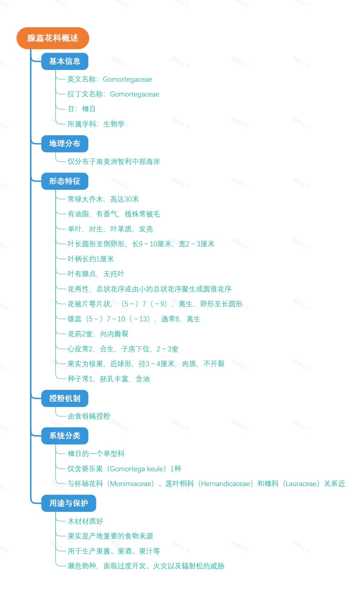 腺蕊花科概述